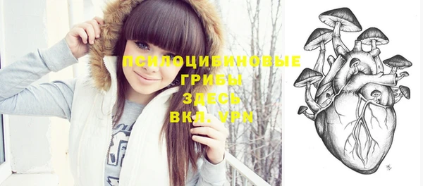 тгк Зеленокумск