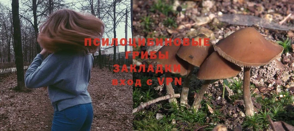 дурь Баксан