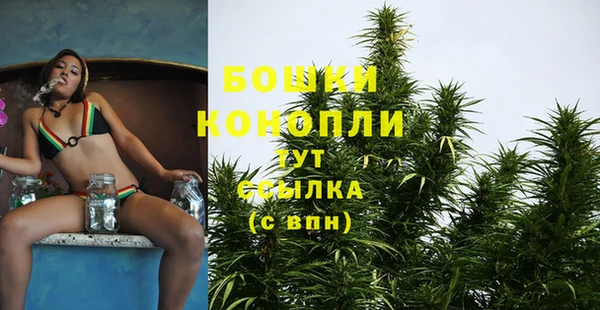 молекула духа Балабаново