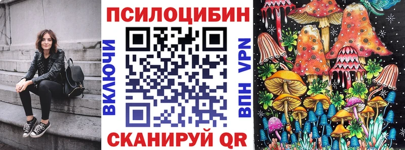 сколько стоит Колпашево ссылка на мегу ссылка Галлюциногенные грибы Cubensis